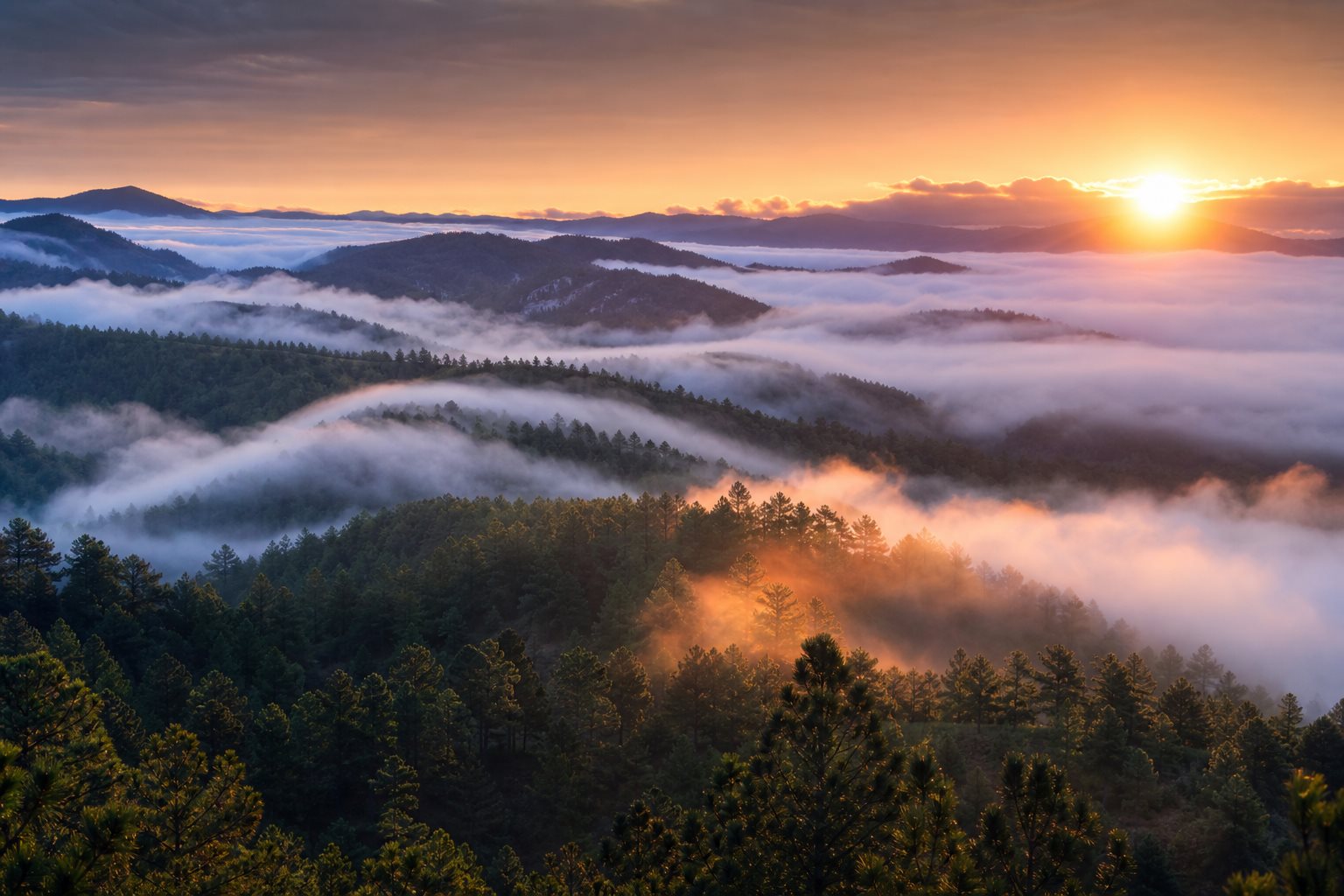 Cazador de Sueños - Amanecer sobre República Dominicana con neblina sobre bosque de pinos donde se cultiva tabaco premium